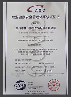 ISO 18001 Chinese